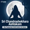 Sri Chandrashekhara Ashtakam